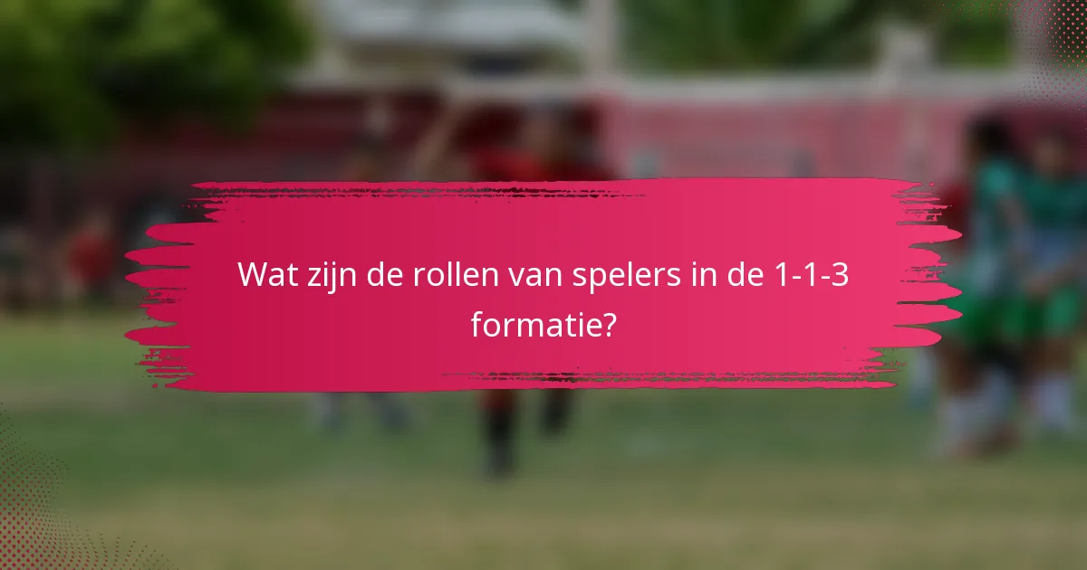 Wat zijn de rollen van spelers in de 1-1-3 formatie?