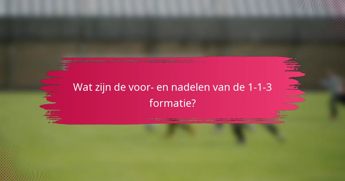 Wat zijn de voor- en nadelen van de 1-1-3 formatie?